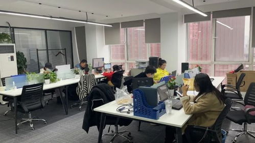 易达咨询,专注中国年轻人职前教育的新锐互联网教育咨询公司